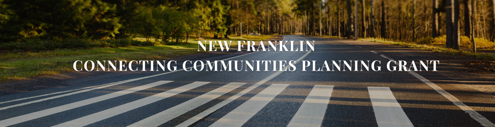 road surrounded by trees